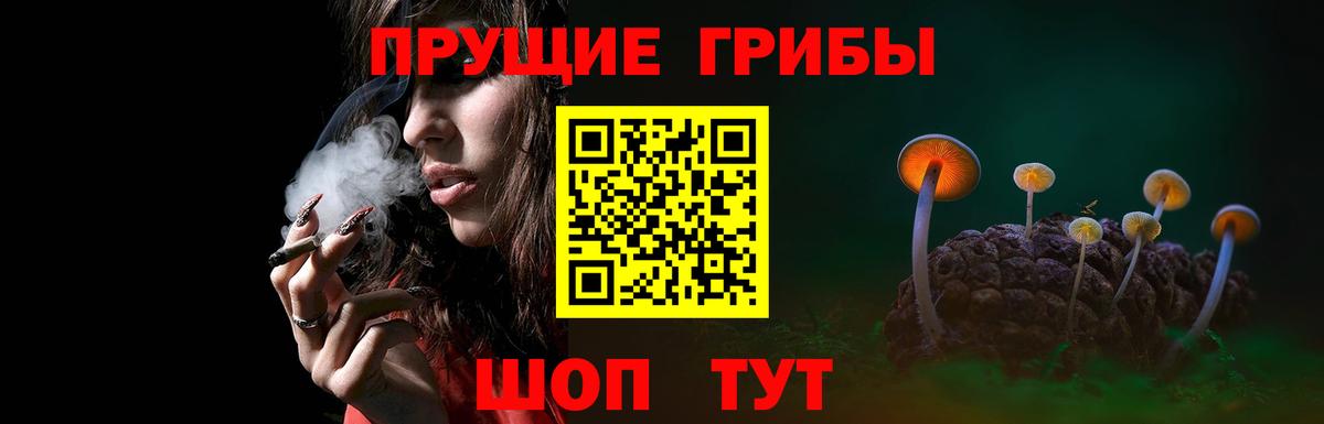 что такое наркотик  Галлюциногенные грибы GOLDEN TEACHER  Вход с VPN  Славянск-на-Кубани 